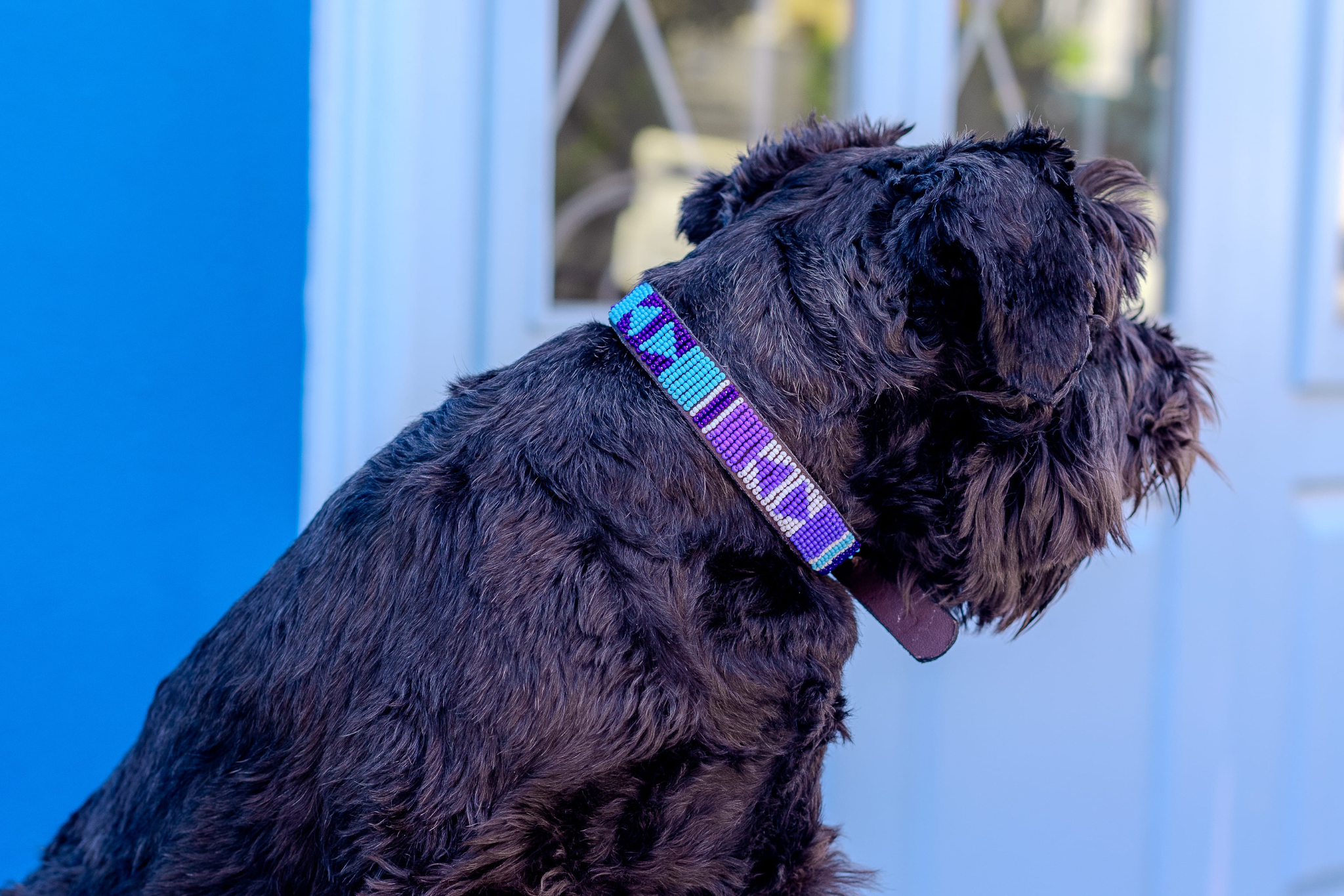 Beaded Collar | Blue Ocean