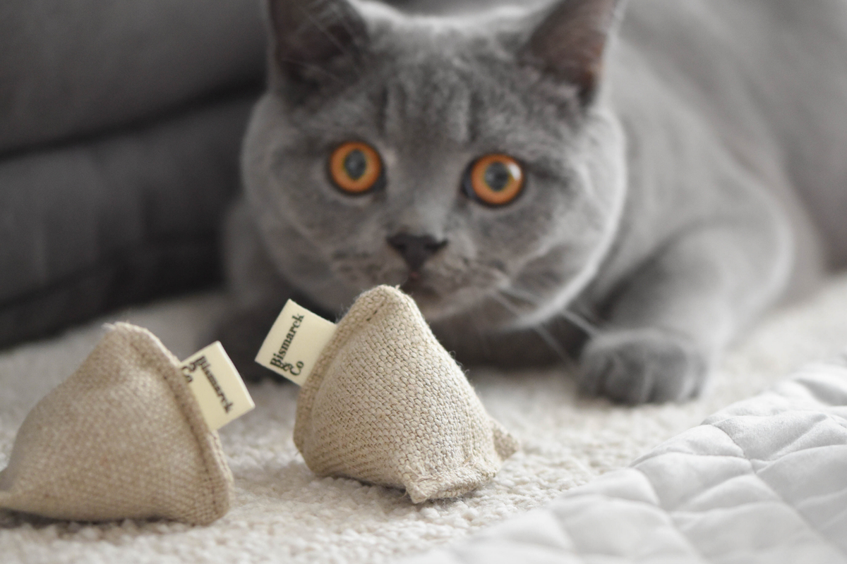 Lion's Head Catnip Toys | Set of 3