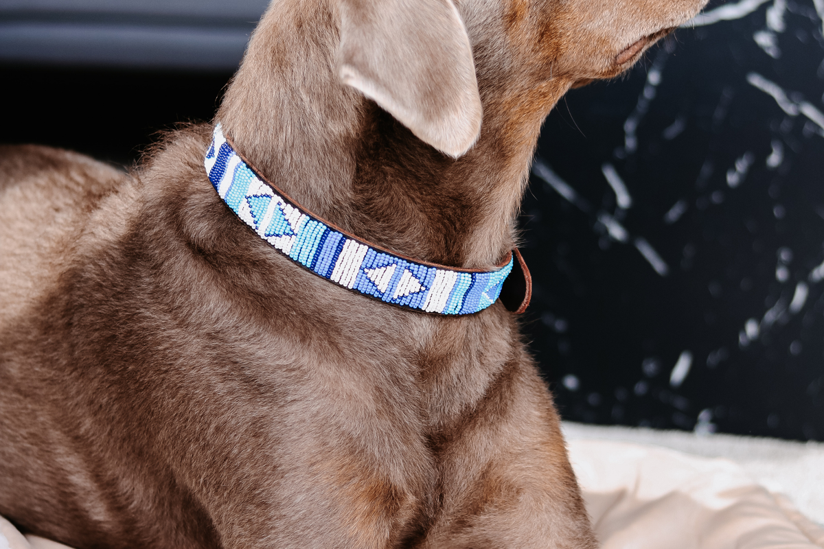 Beaded Collar | Blue Ocean