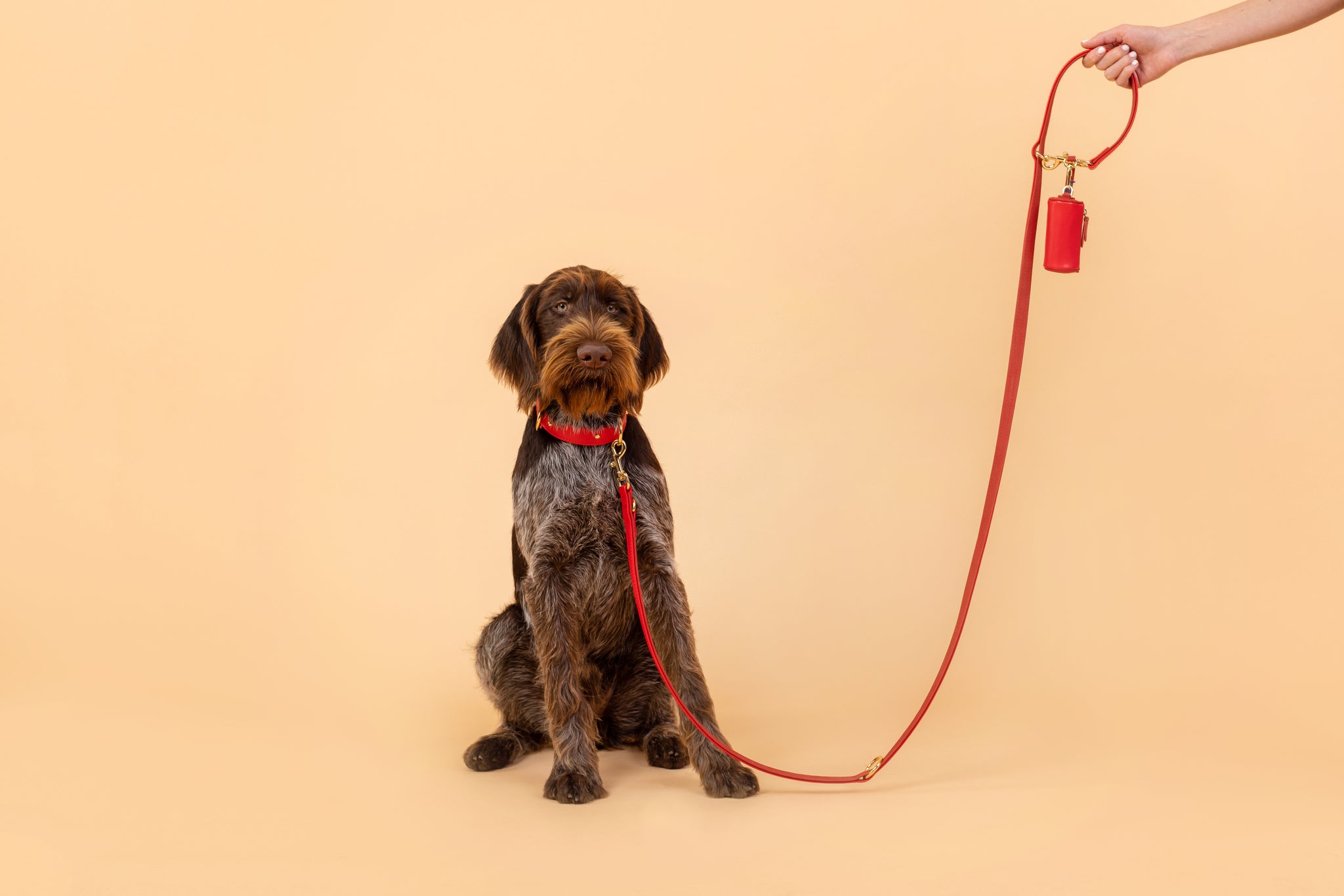 Apple Leather Leash in Festive Red