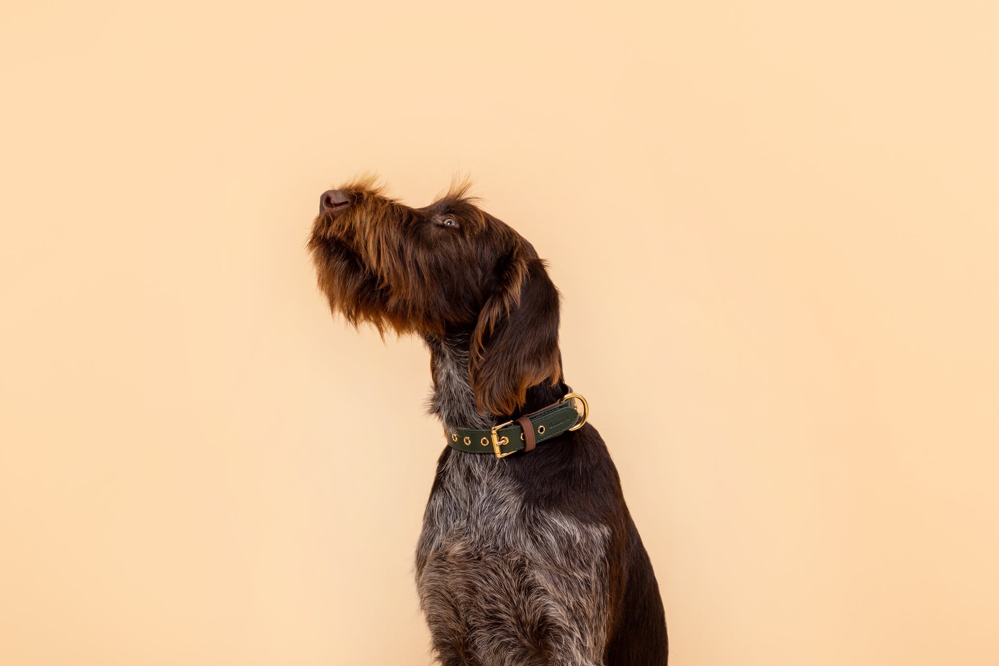 Apple Leather Collar in Winter Green