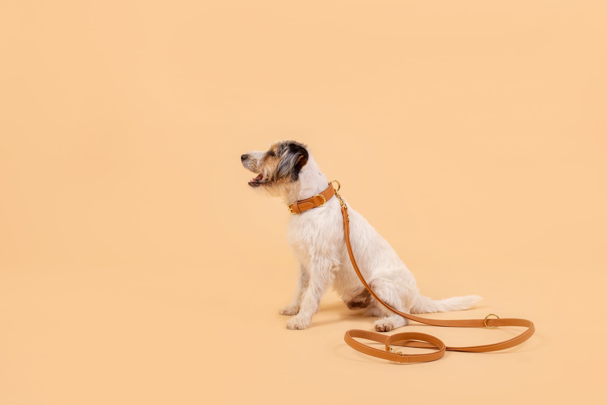 Apple Leather Collar in Camel