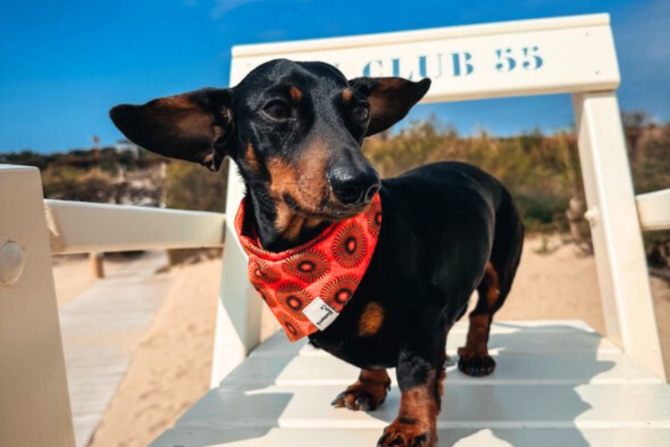 Eine Bismarck&Co Story mit Madeline & Ludwig von @live.love.ludwig