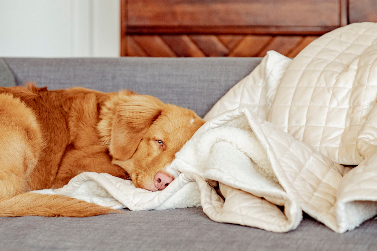 Quilted Velvet & Sherpa Mat in Light Caramel