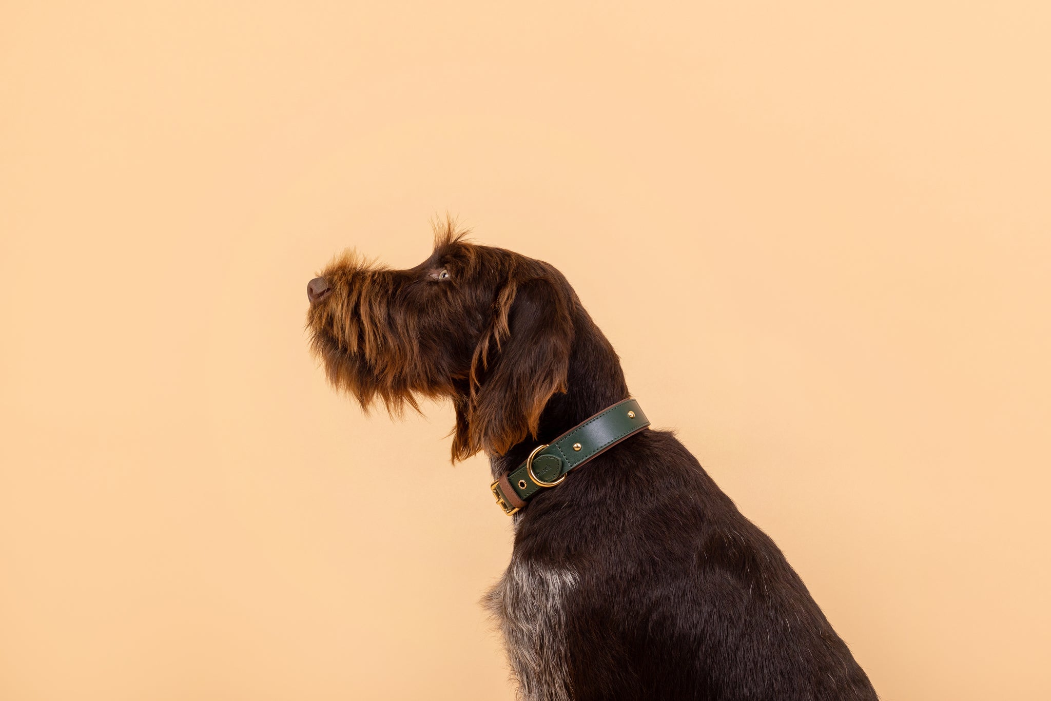 Apple Leather Collar in Winter Green