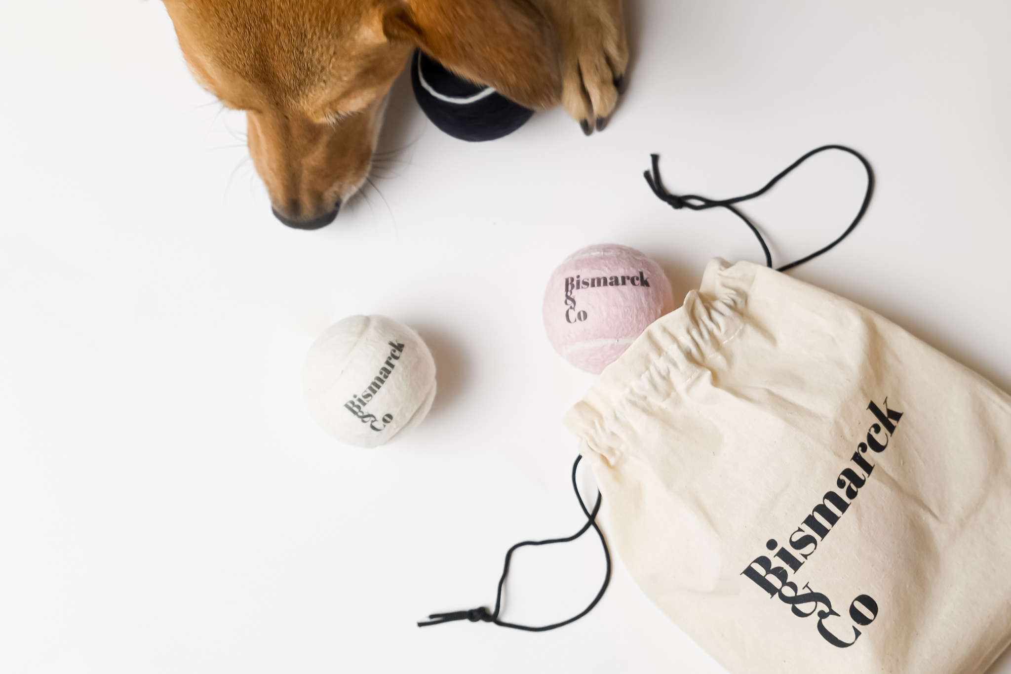 Tennis Balls for Dogs | Set of 3